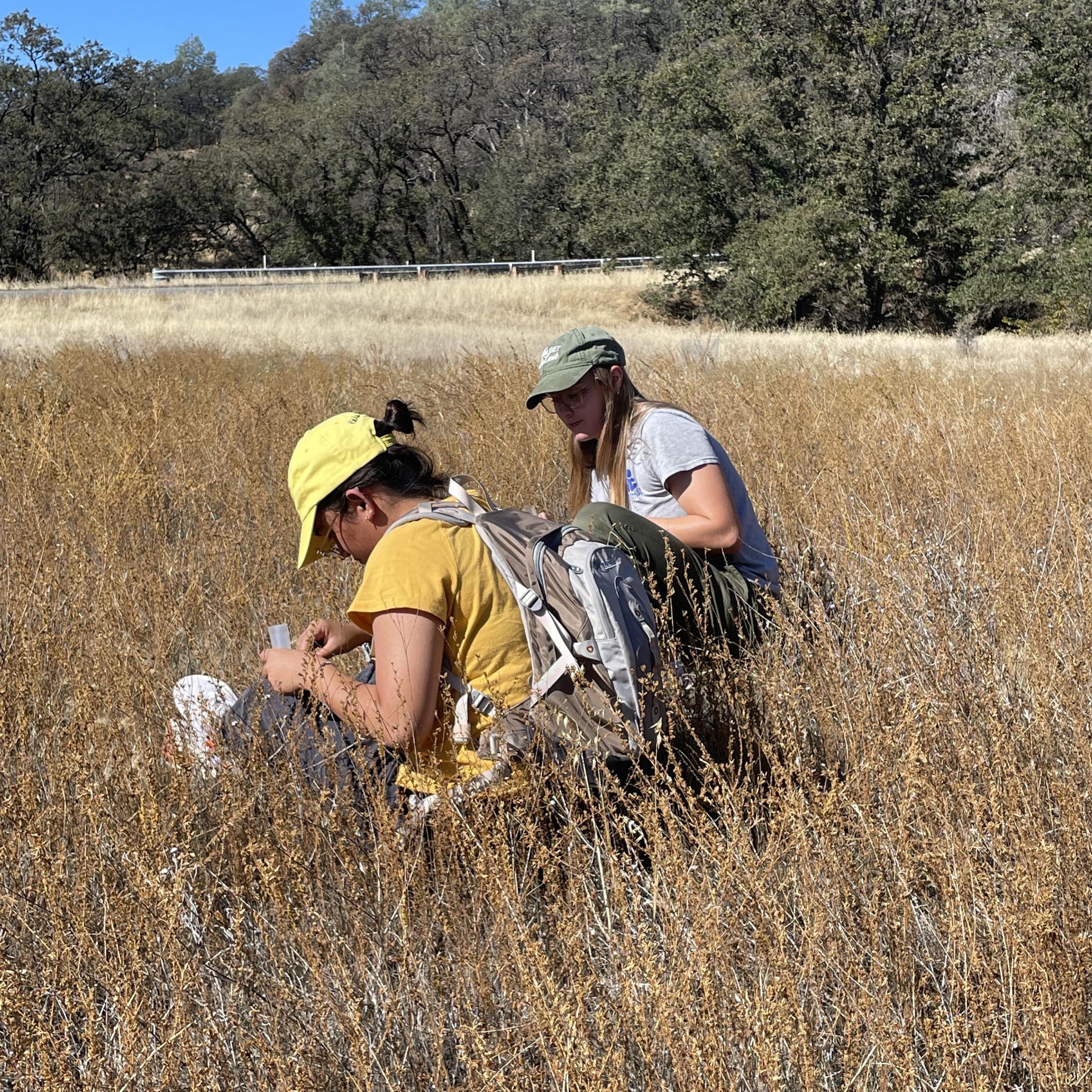 Two students looking at grass