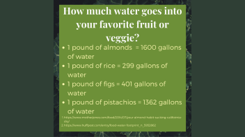 Water and Food Production E-talk. Text on image reads: 1 pound of almonds  = 1600 gallons of water;  1 pound of rice = 299 gallons of water; 1 pound of figs = 401 gallons of water; 1 pound of pistachios = 1362 gallons of water 
