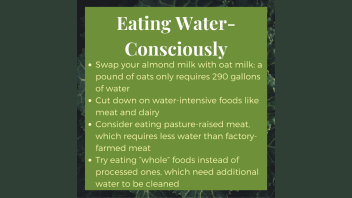 Water and Food Production E-talk. Text on image reads: Swap your almond milk with oat milk: a pound of oats only requires 290 gallons of water. Cut down on water-intensive foods like meat and dairy. Consider eating pasture-raised meat, which requires less water than factory-farmed meat. Try eating “whole” foods instead of processed ones, which need additional water to be cleaned 