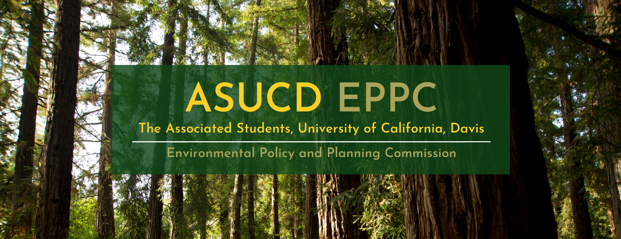 Text saying ASUCD EPPC Associated Students of University California, Davis, Environmental Policy and Planning Commission on a background of redwood trees.